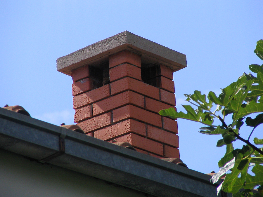 Call 317-535-4605 if You Found Raccoons in Your Chimney in Indianapolis
